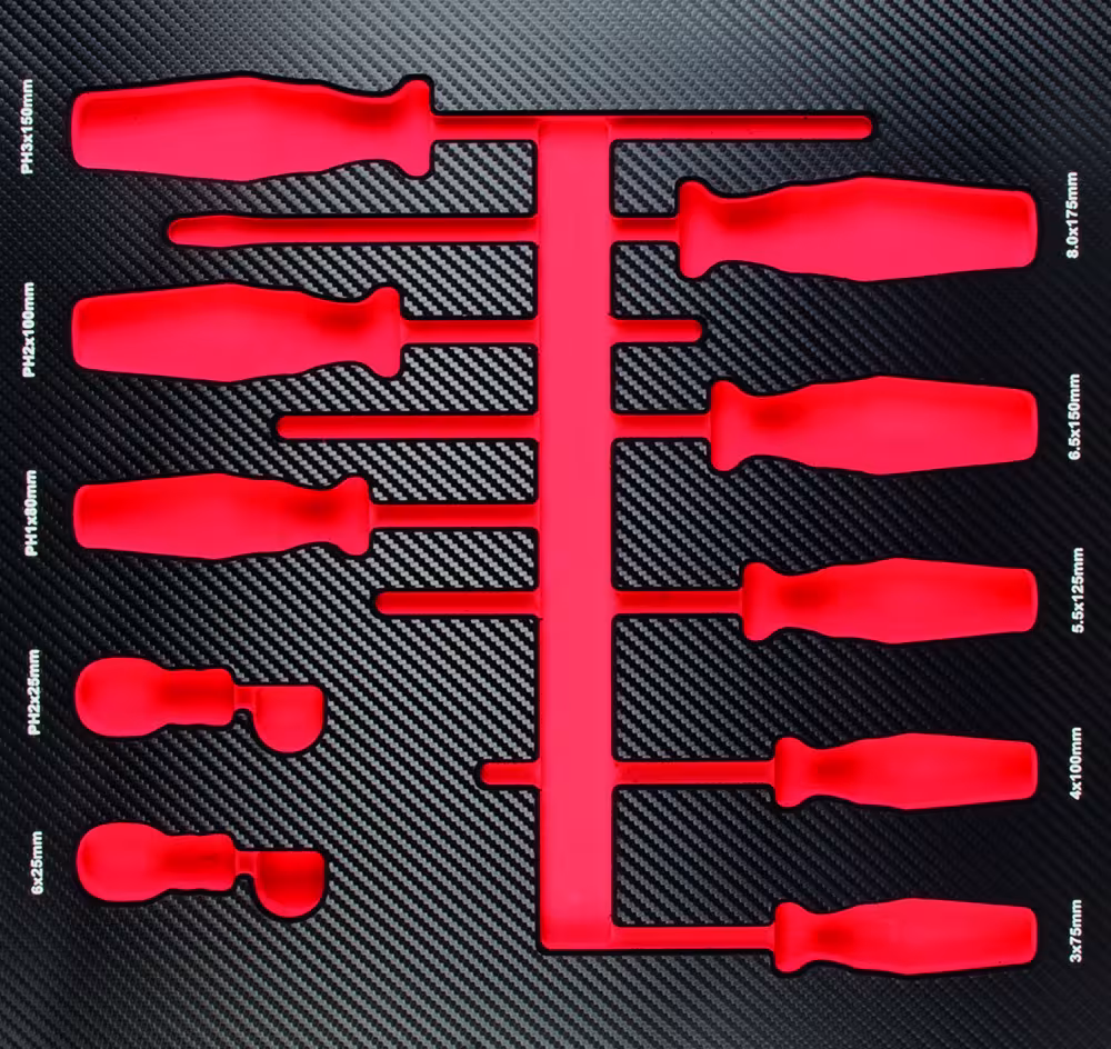 Insert ProForm vide pour 10 tournevis de PROJAHN Tournevis à insert pour 10 vis Phillips PH et vis à fente vides ou remplis, systèmes d'organisation et chariots d'atelier, réf. 5999-48E