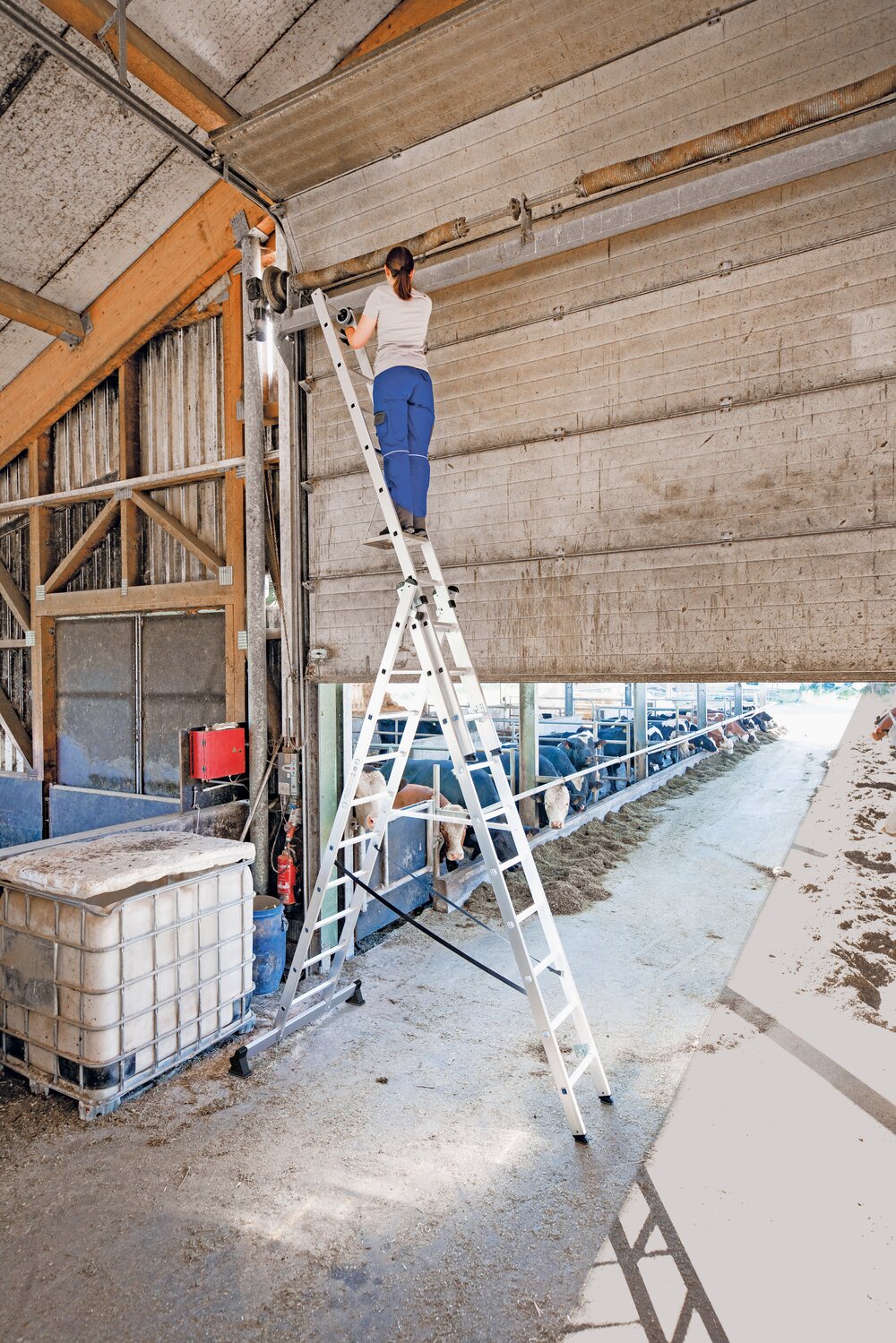 Scala multiuso a 3 pioli Munk con traversa nivello® e rotelle a parete 3x6 pioli