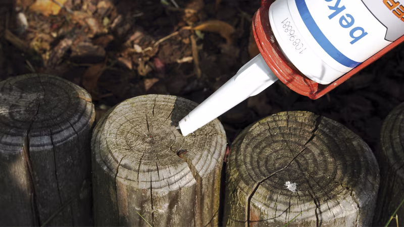 TERRASYS Hirnholz- und Kantenversiegelung 310 ml transparent Pflanze, Baum, Holz, Baumstumpf