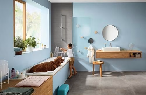 Detailbild 4010271 Hansgrohe Handbrause CROMA SELECT E MULTI DN 15 weiß/chrom
