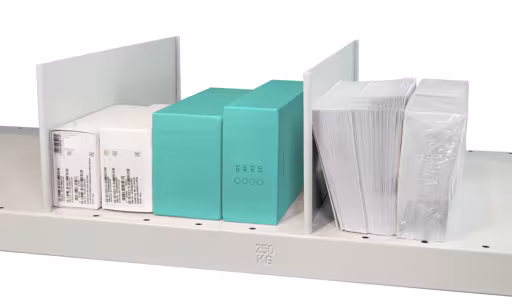 Plaque de séparation sur pied, 500 x 140 mm (P x H), gris clair RAL 7035 pour étagères MULTIplus250 et MULTIplus330 de la catégorie stockage de petites pièces avec le GTIN 4004514292445 Plaque de séparation amovible sur pied, 500 x 140 mm (P x H), gris clair RAL 7035 pour étagères MULTIplus250 et MULTIplus330 de Schulte Lagertechnik de la gamme d'étagères