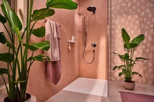 Detailbild 4027870 Hansgrohe Handbrause Pulsify S 1 jet chrom