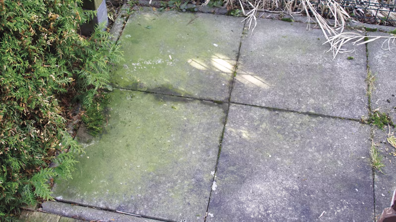 TecLine Détachant vert -concentré- bouteille 1 l Schiefer, Pfad, Gehweg, Bürgersteig, Steinplatte