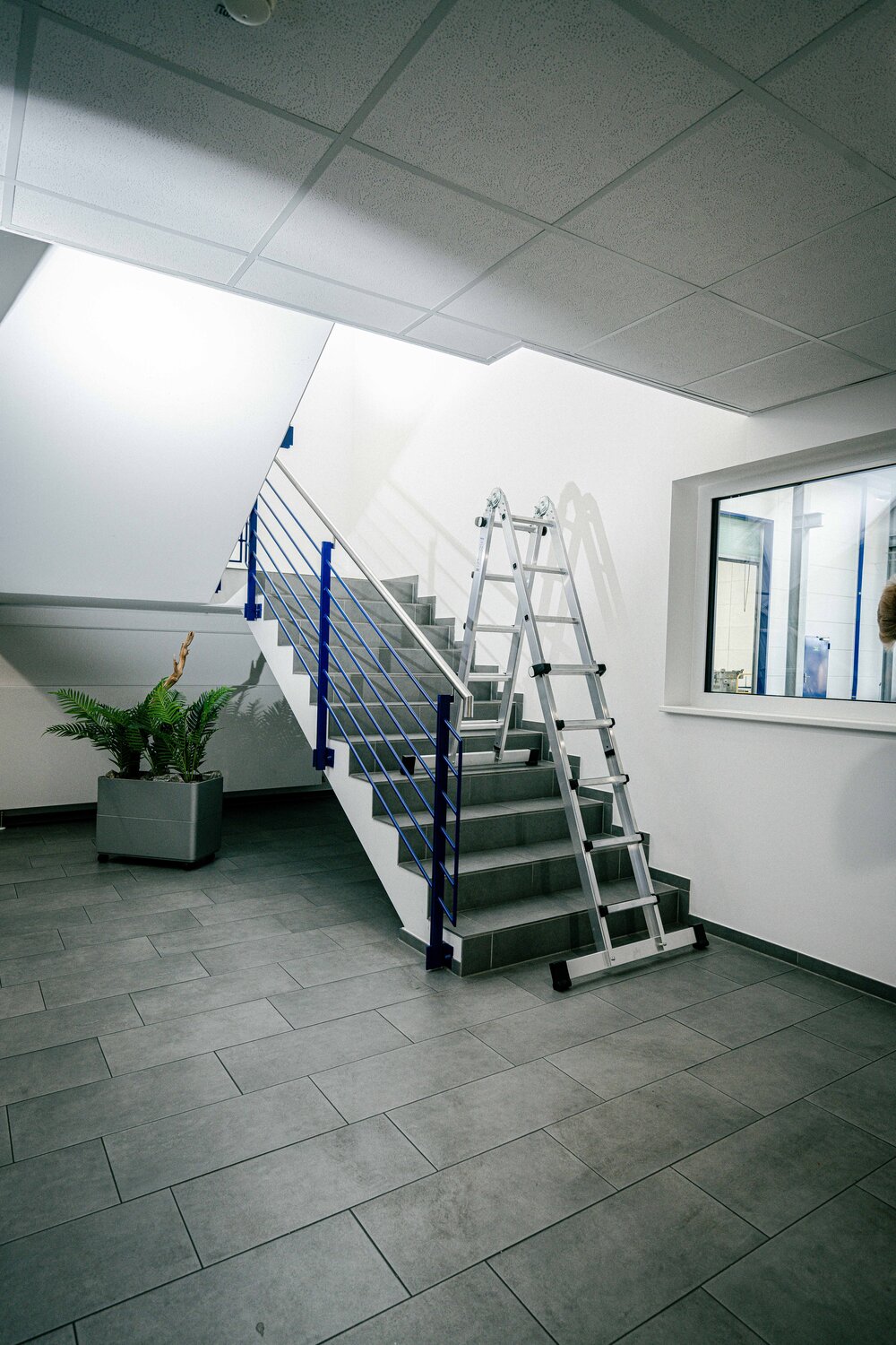 Scala telescopica Munk a 4 elementi con traversa 4x3 pioli