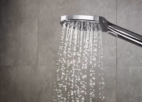 Detailbild 3998485 Handbrause RAINDANCE SELECT E 120 3jet DN 15 EcoSmart chrom
