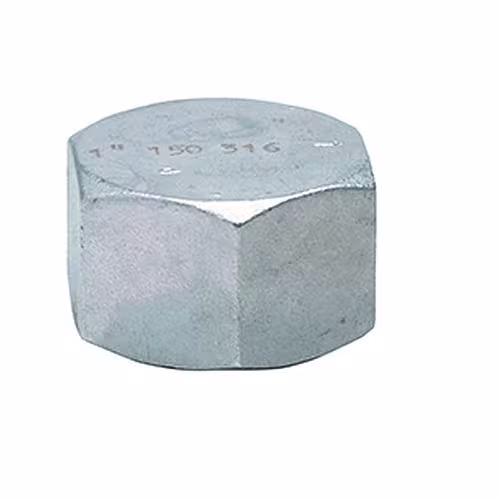 Bouchon hexagonal en acier inoxydable Atusa n° 300 (AISI 316) / PN16 de la marque Atusa de la catégorie raccords filetés en acier inoxydable