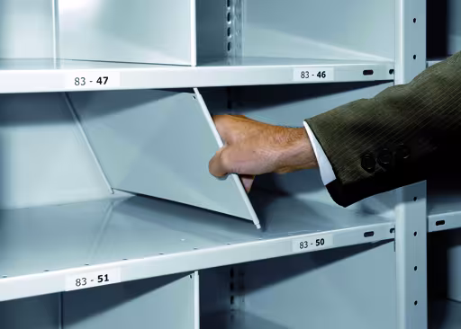 Un'altra vista dell'articolo Divisorio a innesto, 800 x 300 mm (P x A), RAL 7035 grigio chiaro per ripiani MULTIplus250 e MULTIplus330 della categoria Ripiani a scaffale