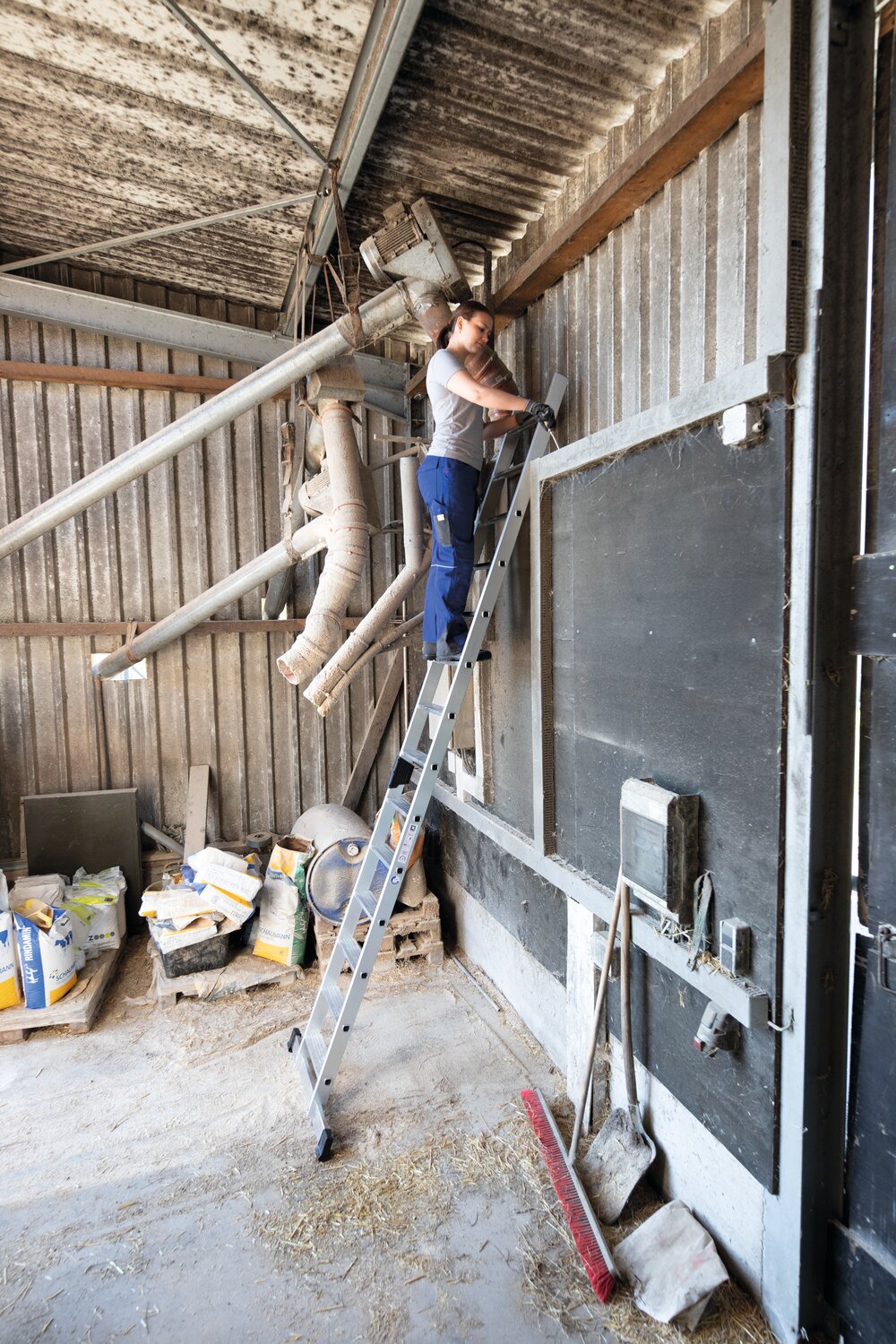 Milieubild 3816933 Scaletta Munk con traversa standard 12 gradini