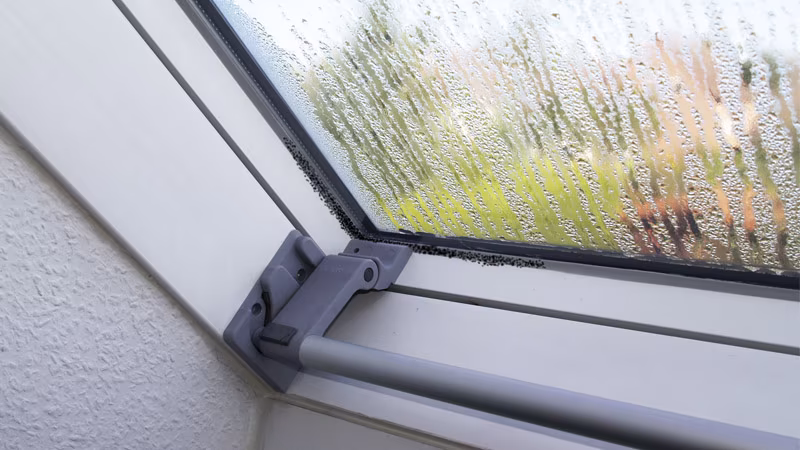 TecLine rimuovi muffa flacone da 500 ml, con testa a spruzzo Fenster, Fensterbank