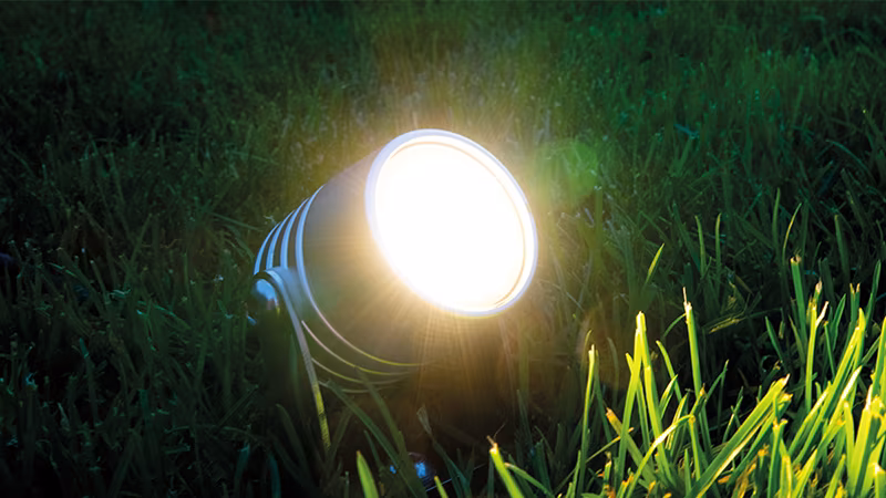 TerraLight Garten- und Objektstrahler kaltweiß Beleuchtung, Lampe, Licht, Gras, Pflanze