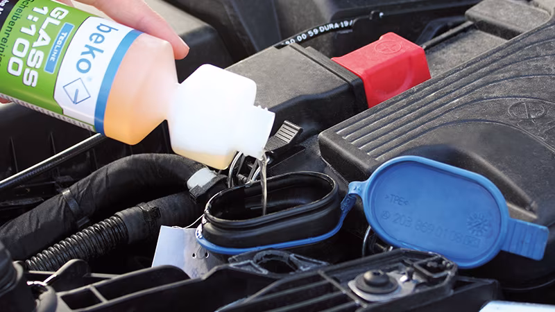 TecLine GLASS 1:100 detergente per parabrezza, concentrato 250 ml Reinigen, Person, Maschine