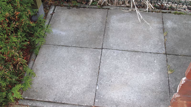 TecLine Grünbelagentferner -Konzentrat- 30 l Kanister Pfad, Bürgersteig, Gehweg, Fußboden, Steinplatte