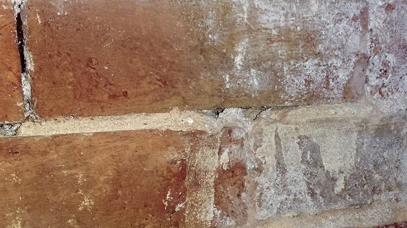 TecLine pulitore premium per residui/incrostazioni di cemento Flacone da 1 litro Backstein, Architektur, Gebäude, Mauer