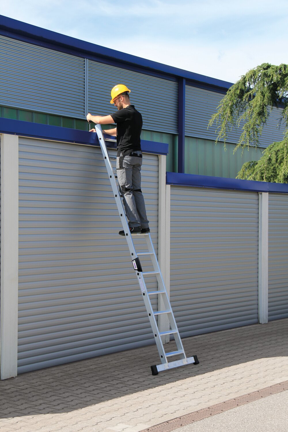 Scaletta Munk con traversa standard 12 gradini