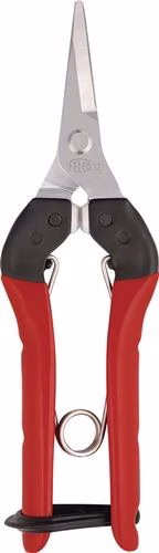 Cisaille à récolter et à cueillir, longueur totale 177 mm, marque FELCO Cisailles de récolte et de lecture FELCO de la catégorie des cisailles de jardin, cisailles à branches et cisailles à arbres, référence 4000815737