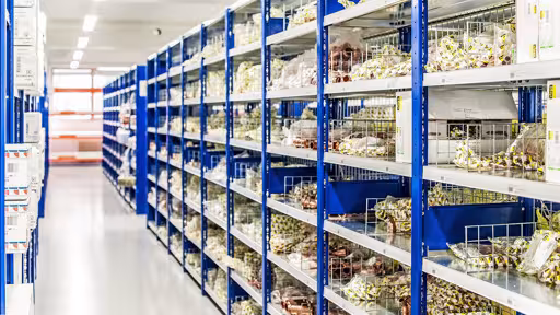 Griglia metallica, 300 x 140 mm (P x A), zincata lucida per scaffali MULTIplus150 della categoria Stoccaggio per minuteria con GTIN 4004514278845 Griglia metallica, 300 x 140 mm (P x A), zincata lucida per scaffali MULTIplus150 della marca Schulte Lagertechnik dal programma scaffali