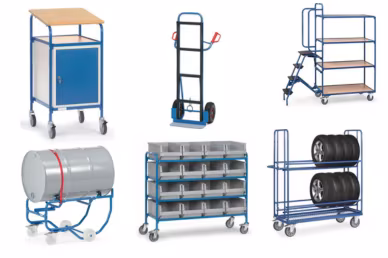 Sistemi di trasporto Sistemi di trasporto