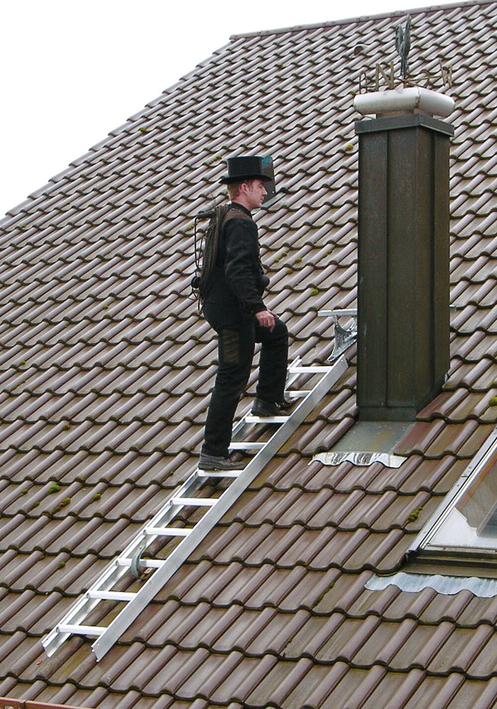 Milieubild 3813326 Munk Dachleiter Alu Natur 7 Sprossen