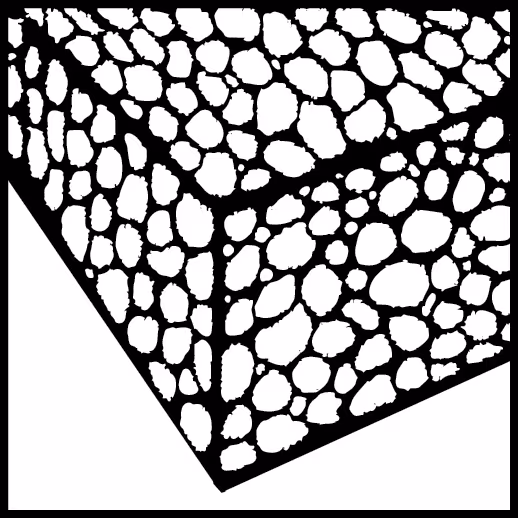 Lama per sega universale PU300W 300 mm VE3 della categoria Lama per sega universale con GTIN 4000146643075 Lama per sega universale PU300W 300 mm VE3 della marca PROJAHN dalla gamma lame per seghe