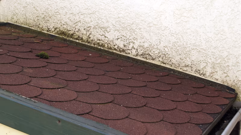 TecLine Grünbelagentferner -Konzentrat- 30 l Kanister Architektur, Gebäude, Haus, Wohnen, Dach